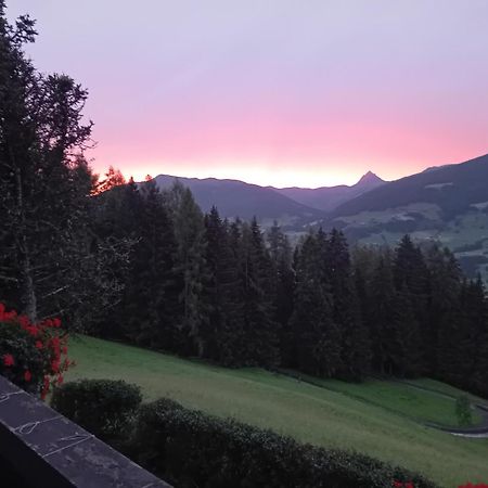 Ferienhaus Hochwimmer Hollersbach im Pinzgau Exterior foto