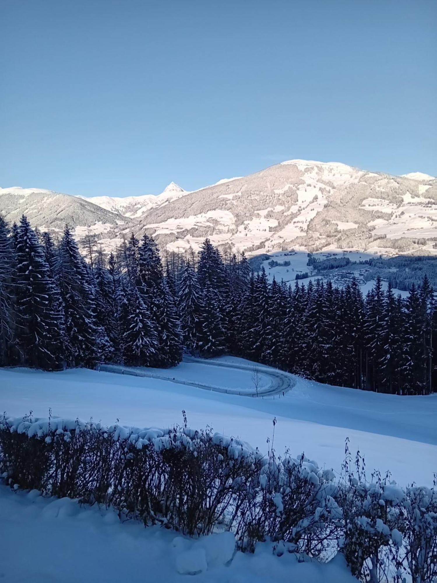 Ferienhaus Hochwimmer Hollersbach im Pinzgau Exterior foto