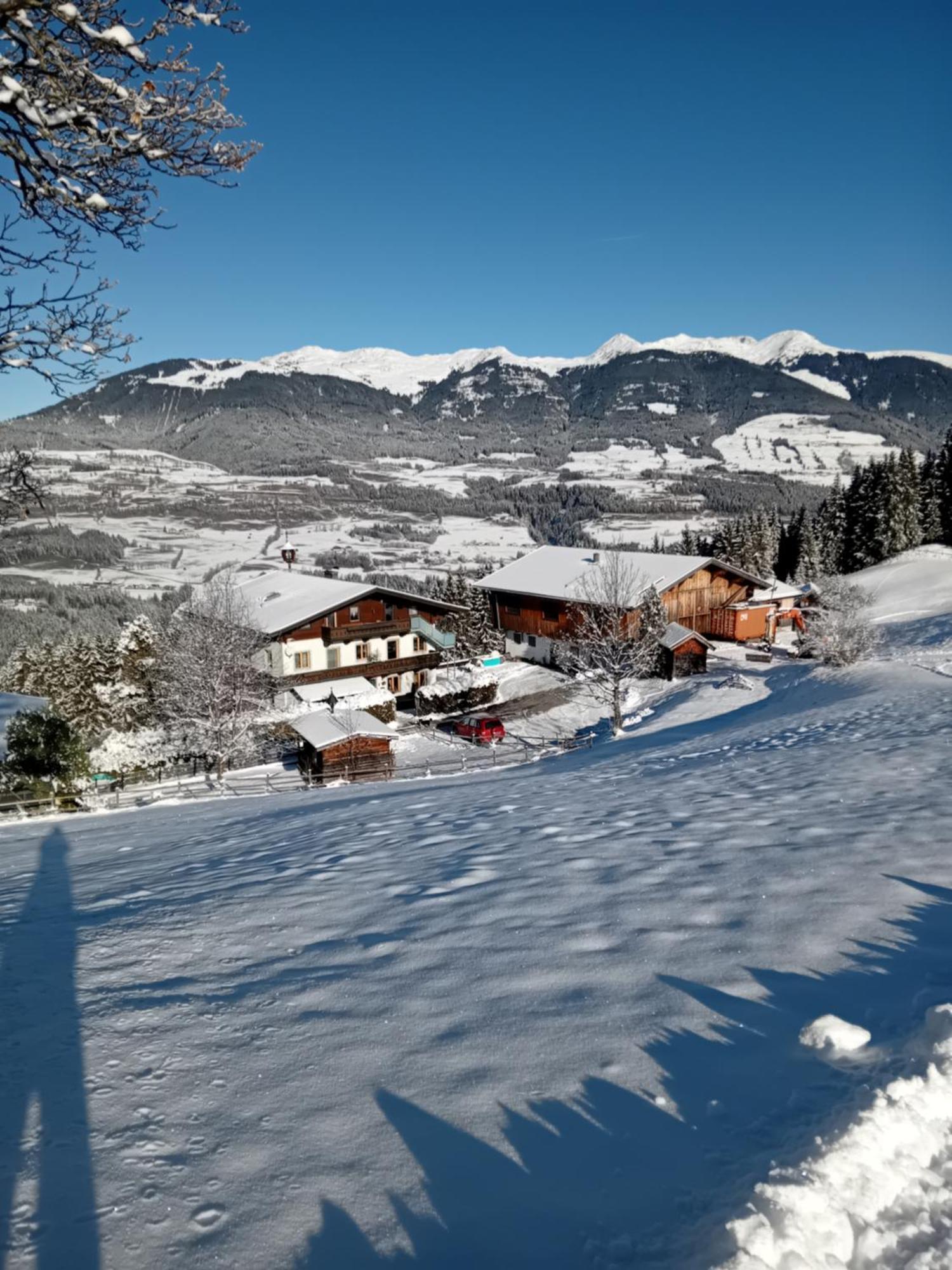 Ferienhaus Hochwimmer Hollersbach im Pinzgau Exterior foto
