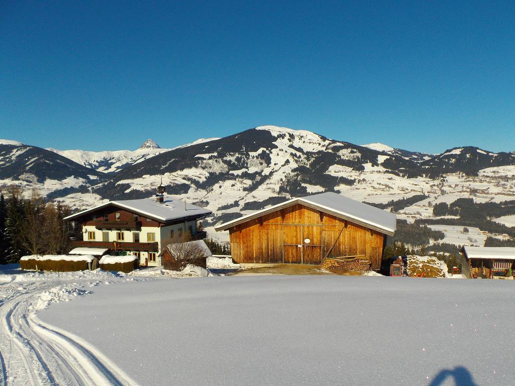 Ferienhaus Hochwimmer Hollersbach im Pinzgau Exterior foto