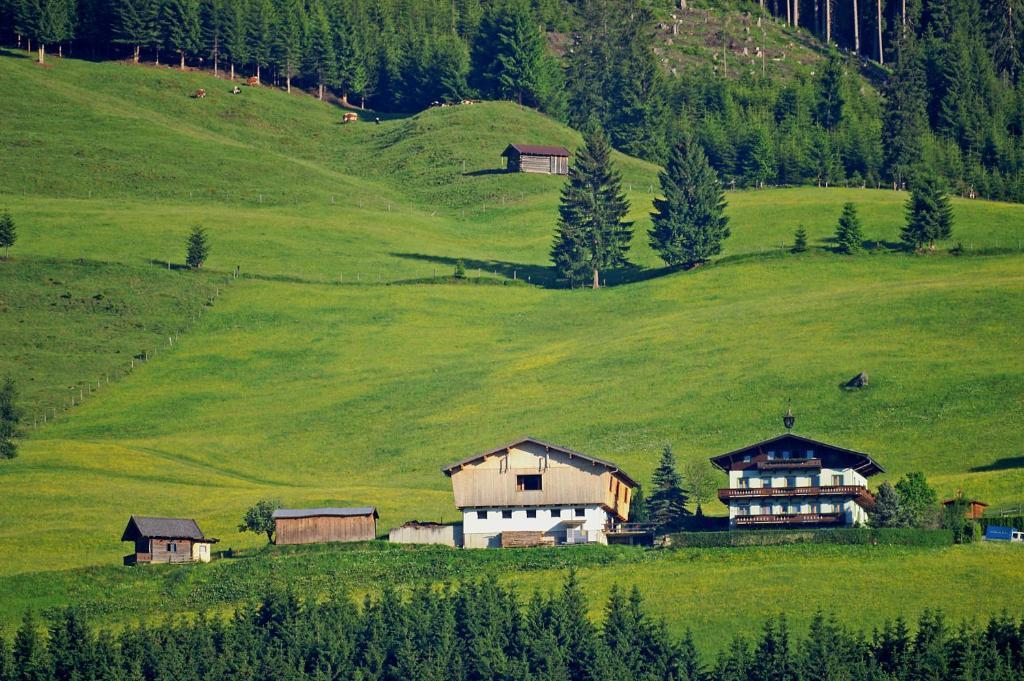 Ferienhaus Hochwimmer Hollersbach im Pinzgau Exterior foto